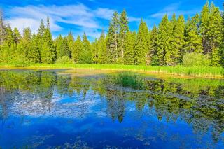 Water's Edge Retreat - 8