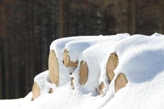 Talstation - Braunlage - 2