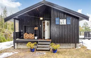 4 Bedroom Awesome Home In Drangedal - 3