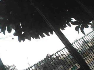 Mi lugar De Encuentro - Quillota - 2
