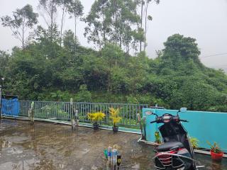 Pavithra cottage munnar - Munnar - 7
