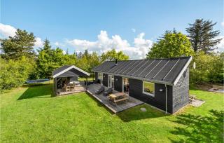Holiday Home Enebærvej Skjern - Lem - 1