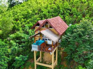 Dins Nature Villa - - 1