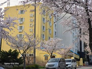 Asan Paradise - Asan - 7