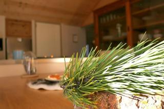 Appartement le Dahu Risoul 1850 - Risoul - 6