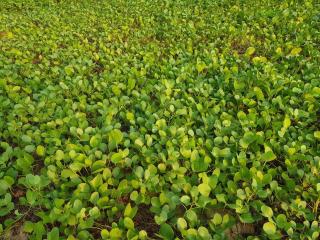 Новая квартира с выходом к бассейну - 9