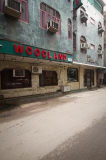 Hotel Woodland Deluxe - New Delhi - 3