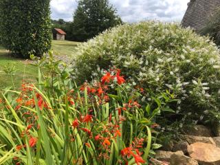 Daisy Cottage with seasonal Swimming Pool - Le Mesnil-Gilbert - 5