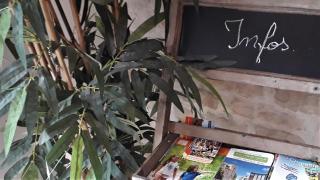 Gîte La Charentaise - Logement de vacances 4 personnes avec piscine - Fontenille-Saint-Martin-d'Entraigues - 2