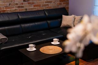 Luna Prestige Suite - Krakow - 6