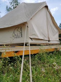 pole namiotowe Stajnia Kaliska - Łochów - 1