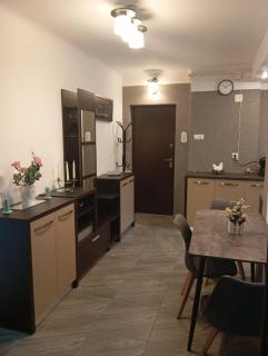 Harmony House - Hunedoara - 6