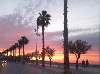Veli Sul Mare - Mola di Bari - 0