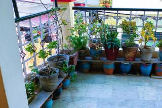 Dehradun Gem Close to All Sights - 6