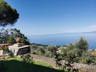 Top Hill Genoa - Camogli - 9