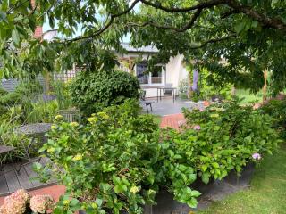 Haus Holger - Waren - 6