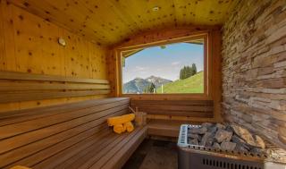 Almhütten Saalbach-Hinterglemm - Saalbach-Hinterglemm - 3