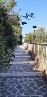 Cozy Studio - Pisciotta - 2
