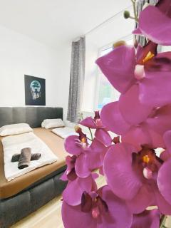 Family Studio in Schönbrunn Area - Wien - 2