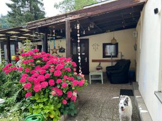 Privatzimmer mit eigenem Bad und Blick auf den Rhein - Osterspai - 8