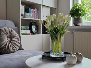Apartament Studzienna - Toruń - 6