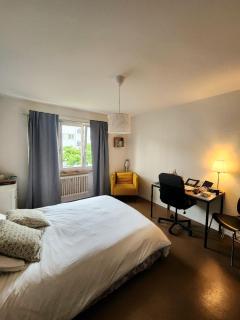 Taylor Swift Apartment - 20 mins from concert - Zürich - 5