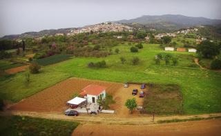 Gozzadini Vineyard! - Avlonárion - 8