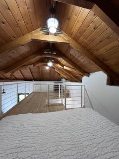 Gozzadini Vineyard! - 6