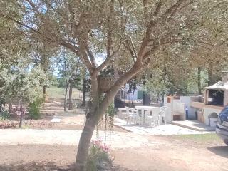 Casa vacanze Berchida - 1