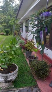 Mahaweli Shades - Kandy - 7