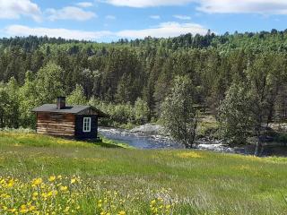 Leppälän vanhatupa rantasaunalla - 8