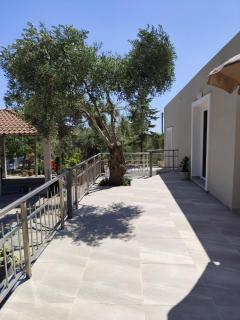 Ariadne's garden - 3