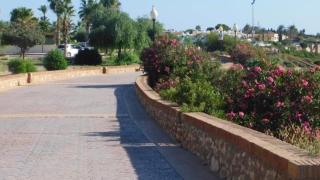 APARTAMENTO "Margarita" Cabo Roig - Cabo Roig - 6