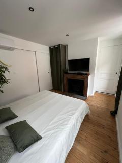 Studio cosy cœur de ville - Vienne - 2