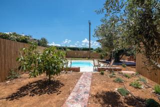 Eco Olive Treehouse - 7