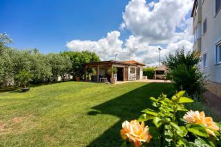 Apartments Jelena - Rošini - 8