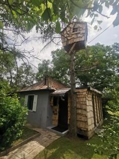 M5 COOL Station Kecskemét - 3