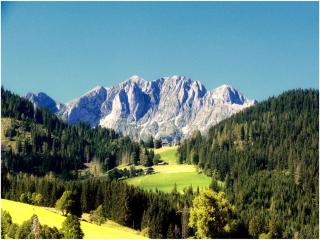 Waldhaus - Sankt Martin am Tennengebirge - 4