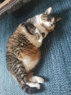 Duplex atypique et chaleureux, hyper centre - 6