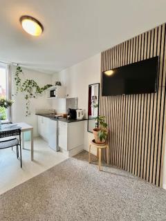 Studio 2 Rue Théodore Bac - DABNB - Limoges - 5