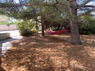 La casa degli ulivi - Ostuni - 1