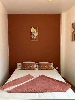 URBAN appartement hyper centre - 4