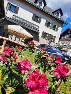 Pension Lípa - Horní Maršov - 0