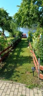 Agro-Tur Domki w Szuwarach - 5