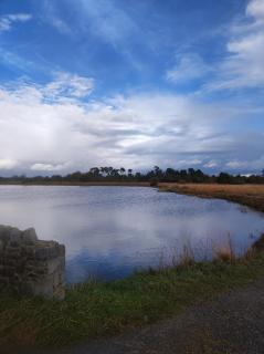 The little pink house - Thurles - 3