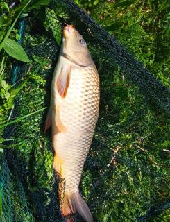 La Lacuri - Sovata - 2