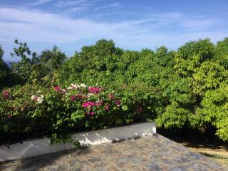 HiatusMobay - Montego Bay - 1