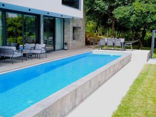 Villa Lapidea - Sinj - 1