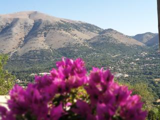 TheYellow House II Fully Equipped 2BR apartment - Andipáta - 6
