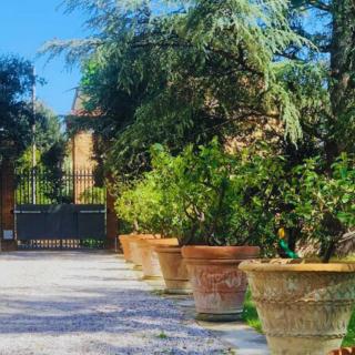 Villa Lulli affittacamere - Sansepolcro - 4